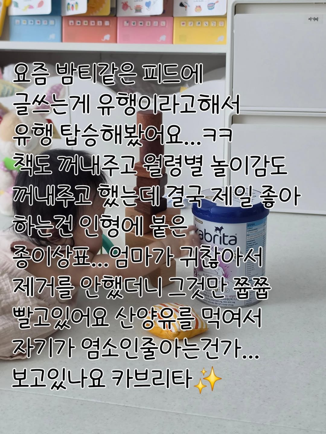@meoru.story이 올린 해님 태그 게시물