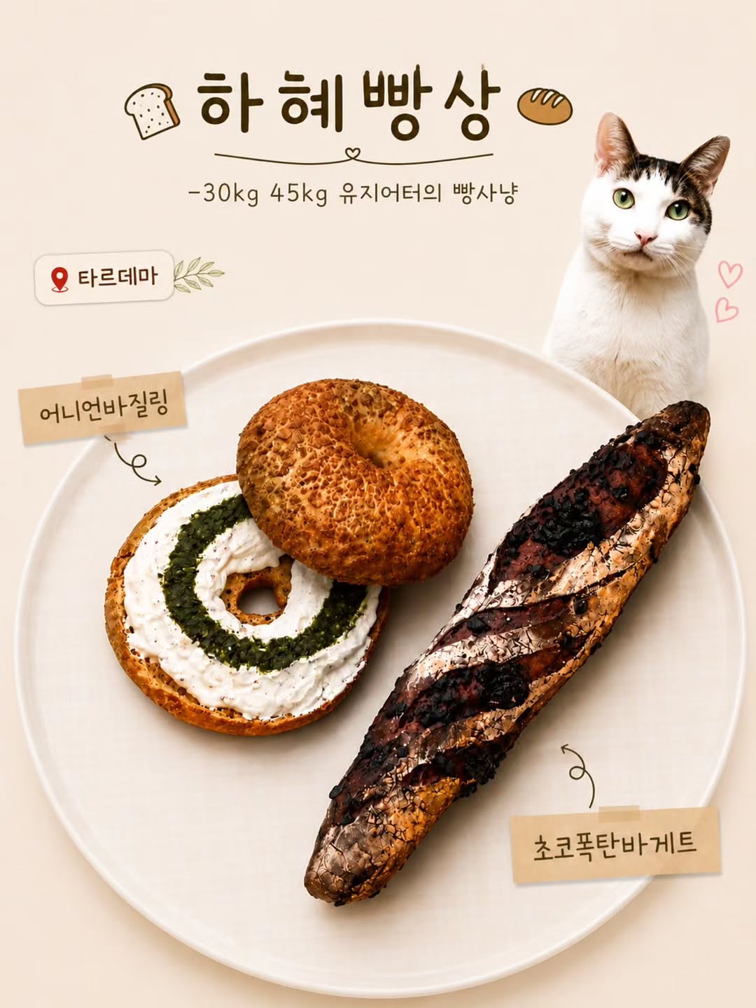 @hahye.hihohu이 올린 타르데마베이커리 태그 게시물