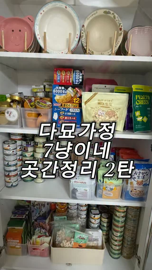 @galbabfamily_이 올린 아이시아 코리아 태그 게시물