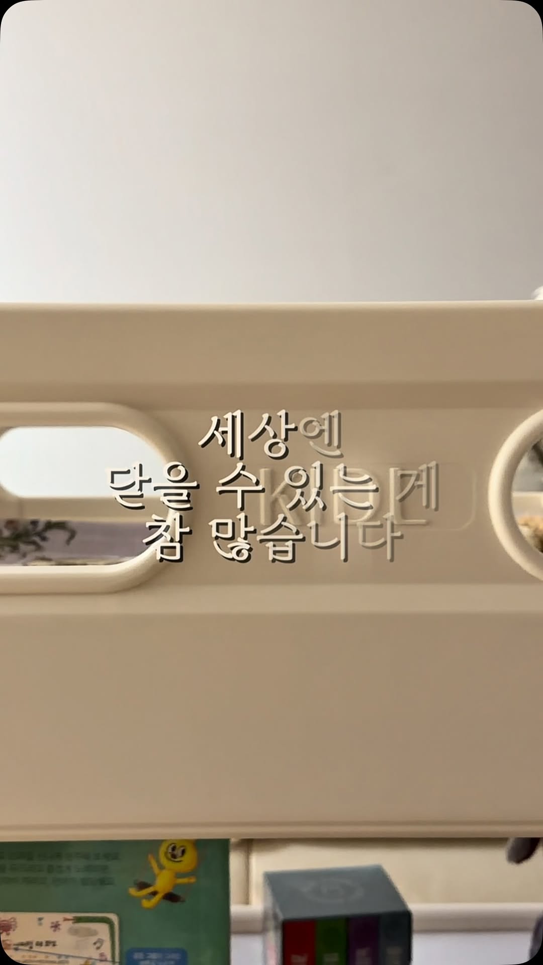 @banjuktaeng이 올린 키들 태그 게시물