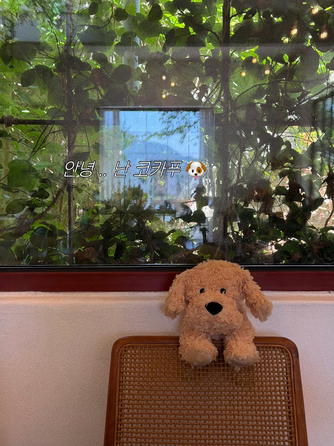 @ddo.ddoz이 올린 워미스 태그 게시물