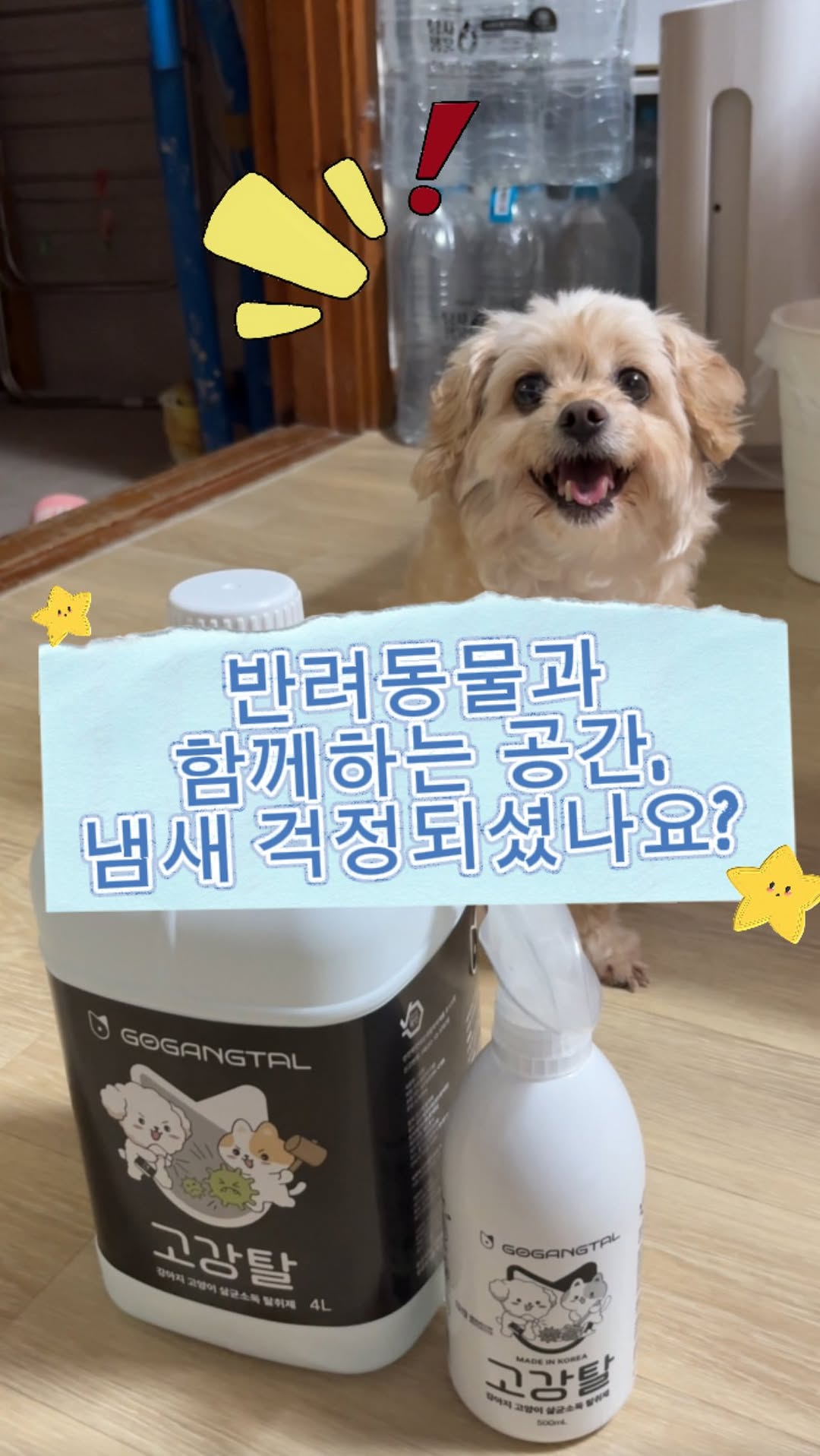 @quincy__1004이 올린 고강탈 태그 게시물