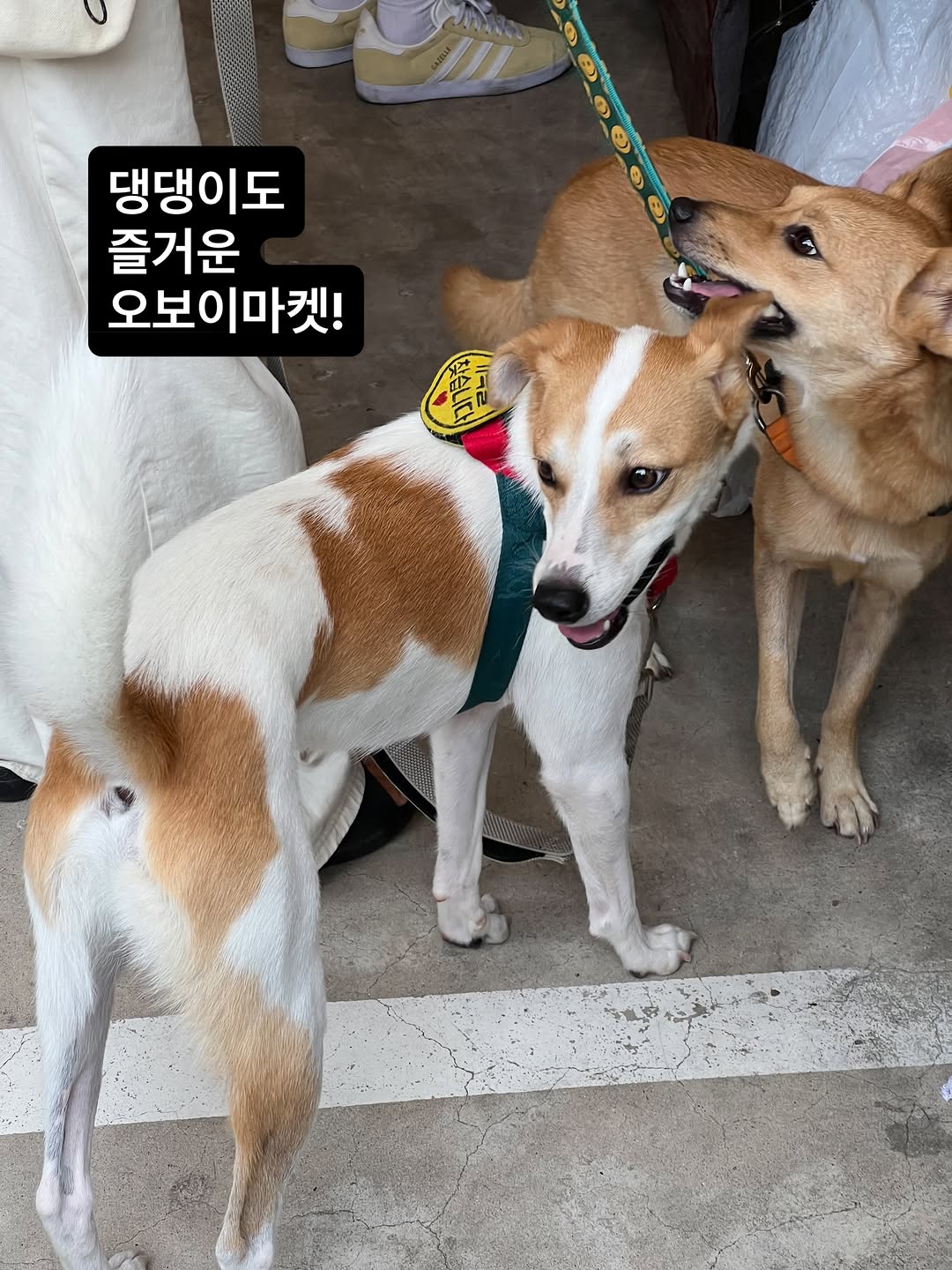 @ohboymagazine이 올린 닥터 브로너스 태그 게시물