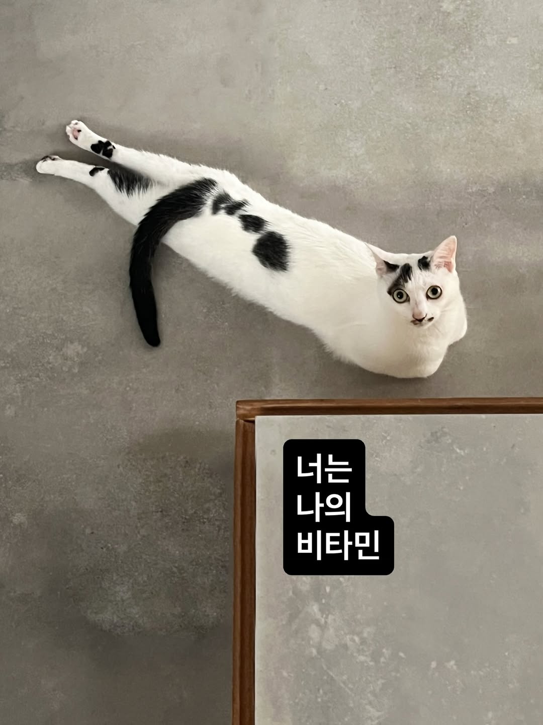 @ohboymagazine이 올린 닥터 브로너스 태그 게시물
