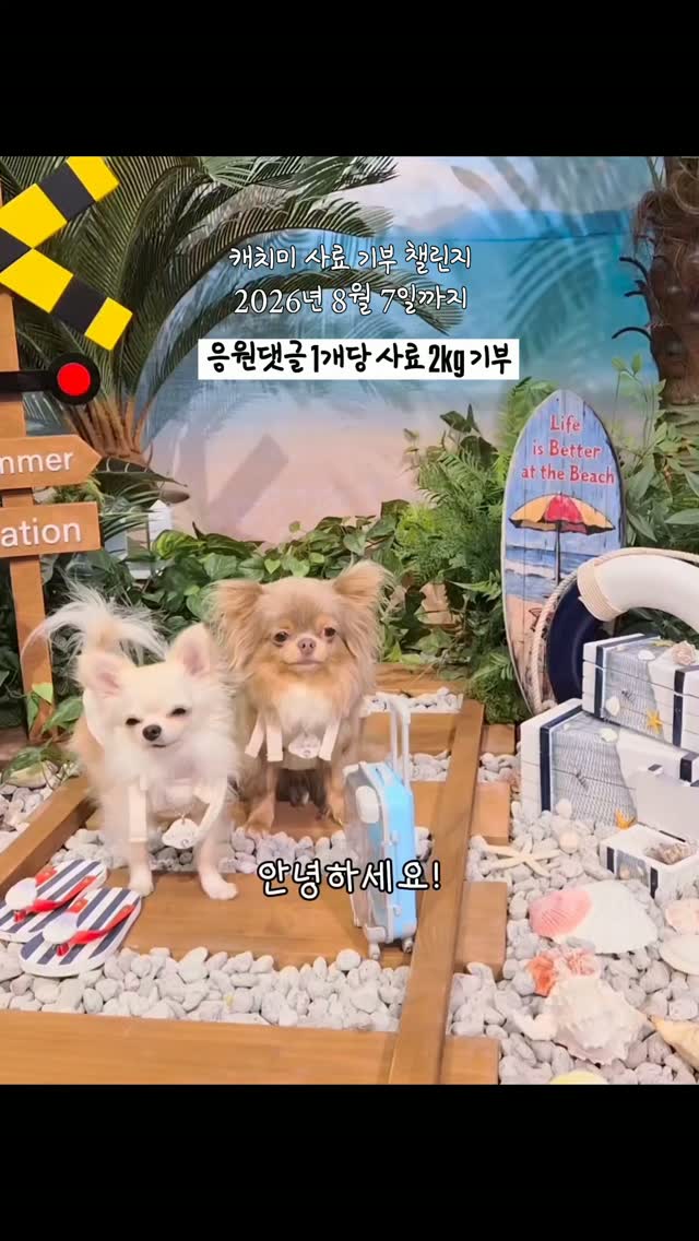 @rabok_ddang이 올린 무뮤리 태그 게시물