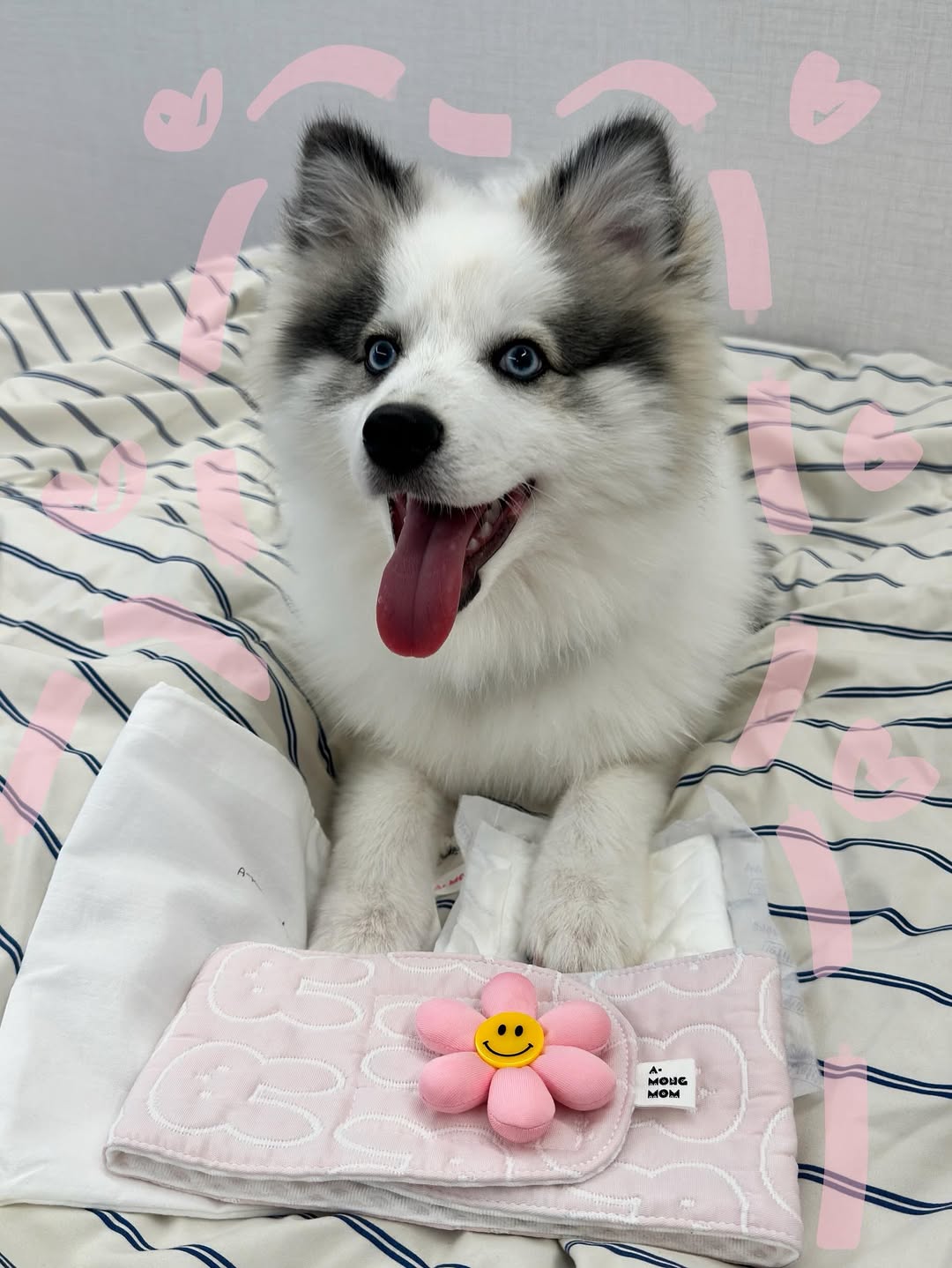 @mochi_zip_이 올린 아몽 맘 태그 게시물