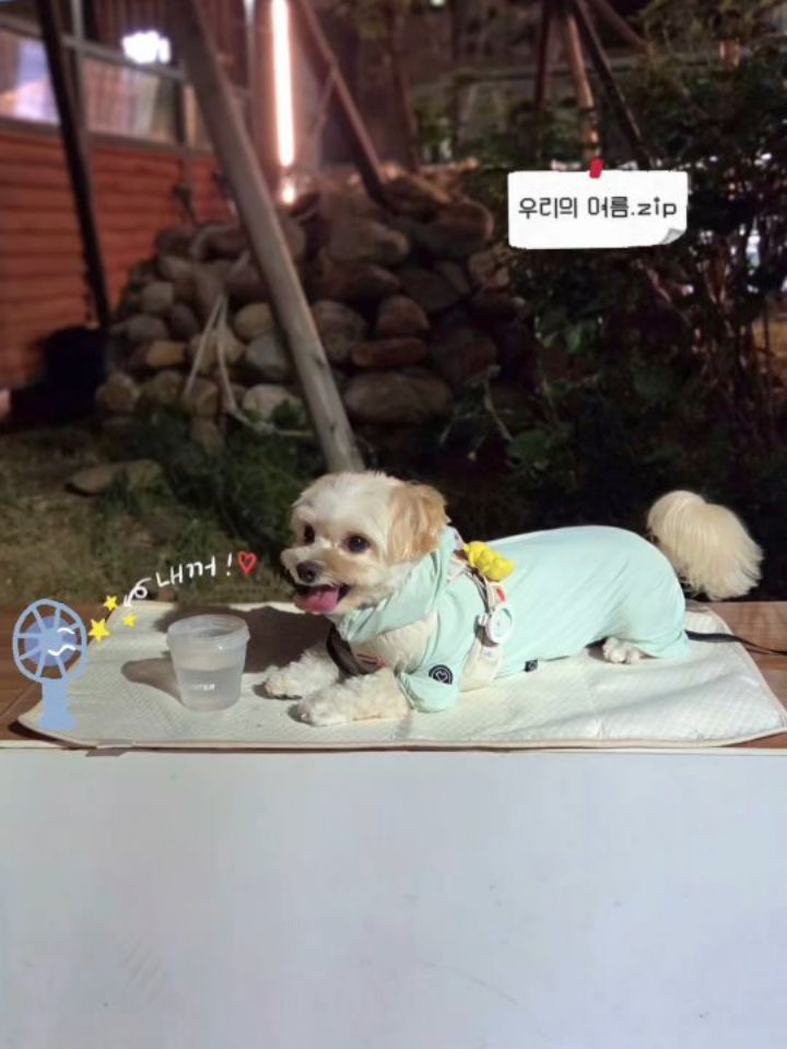 @seulkikikikikiki이 올린 포포캄 태그 게시물