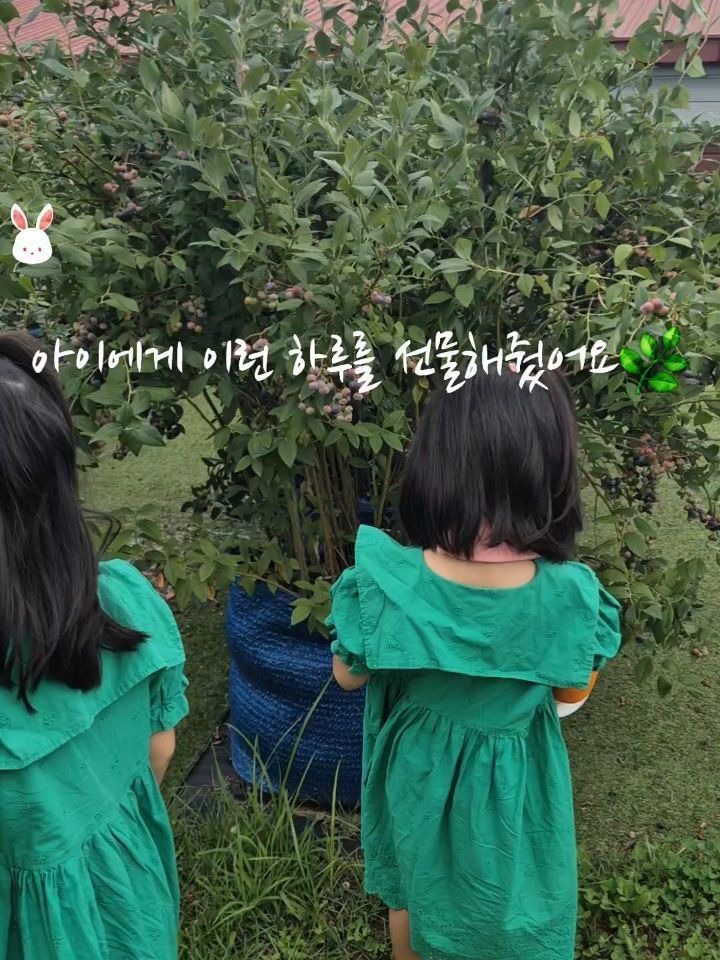 @dtdcz이 올린 포레스트벨 태그 게시물