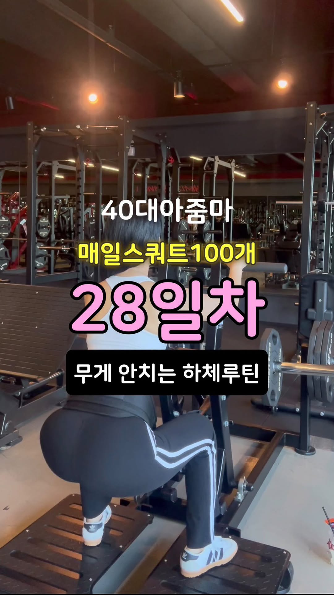 @lovemyfit_ram이 올린 광동제약 태그 게시물