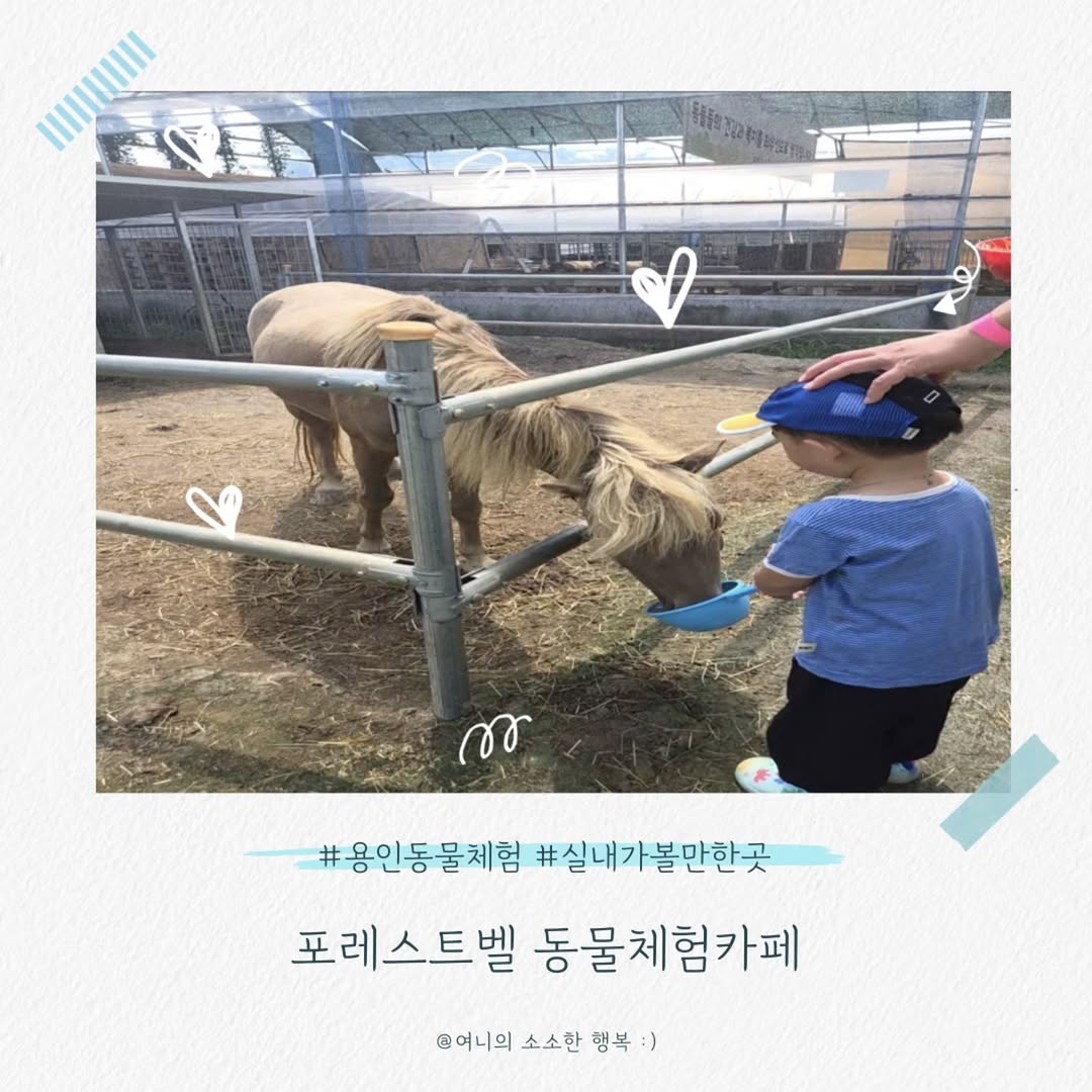 @yoga_yeon이 올린 포레스트벨 태그 게시물