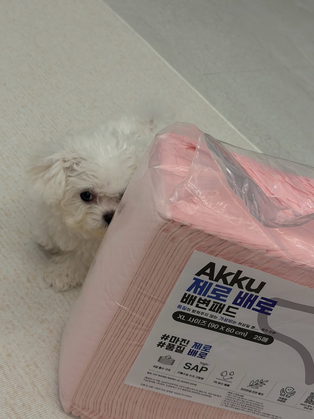 @mozziii_._._이 올린 아꾸 태그 게시물