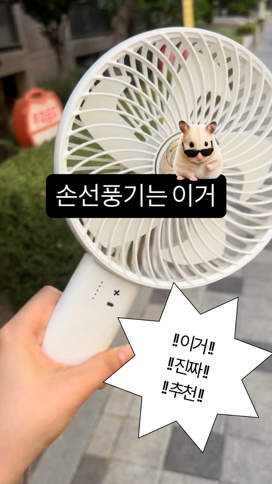@gomang_joa이 올린 프롬비 태그 게시물