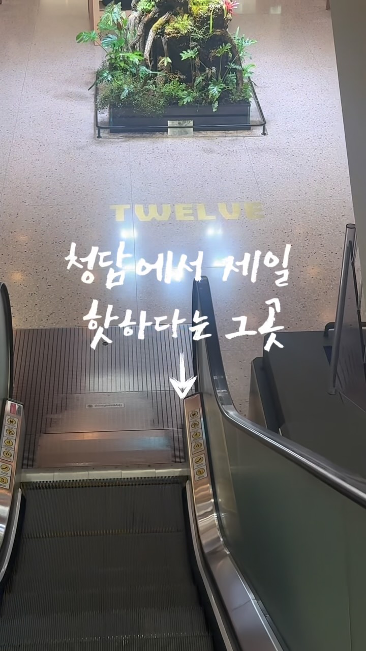 @blossom_sora_이 올린 플레인팟 민감라이프케어 태그 게시물