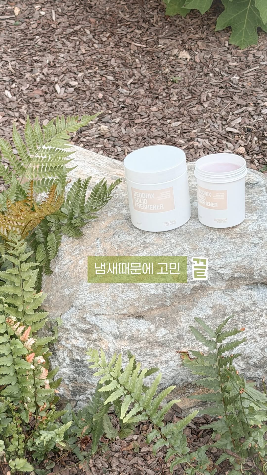 @2_cho.on_이 올린 에이센트 A'SCENT 태그 게시물