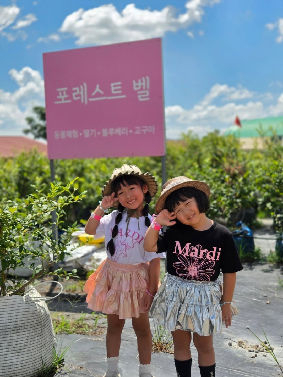 @ddim_yuri_이 올린 포레스트벨 태그 게시물