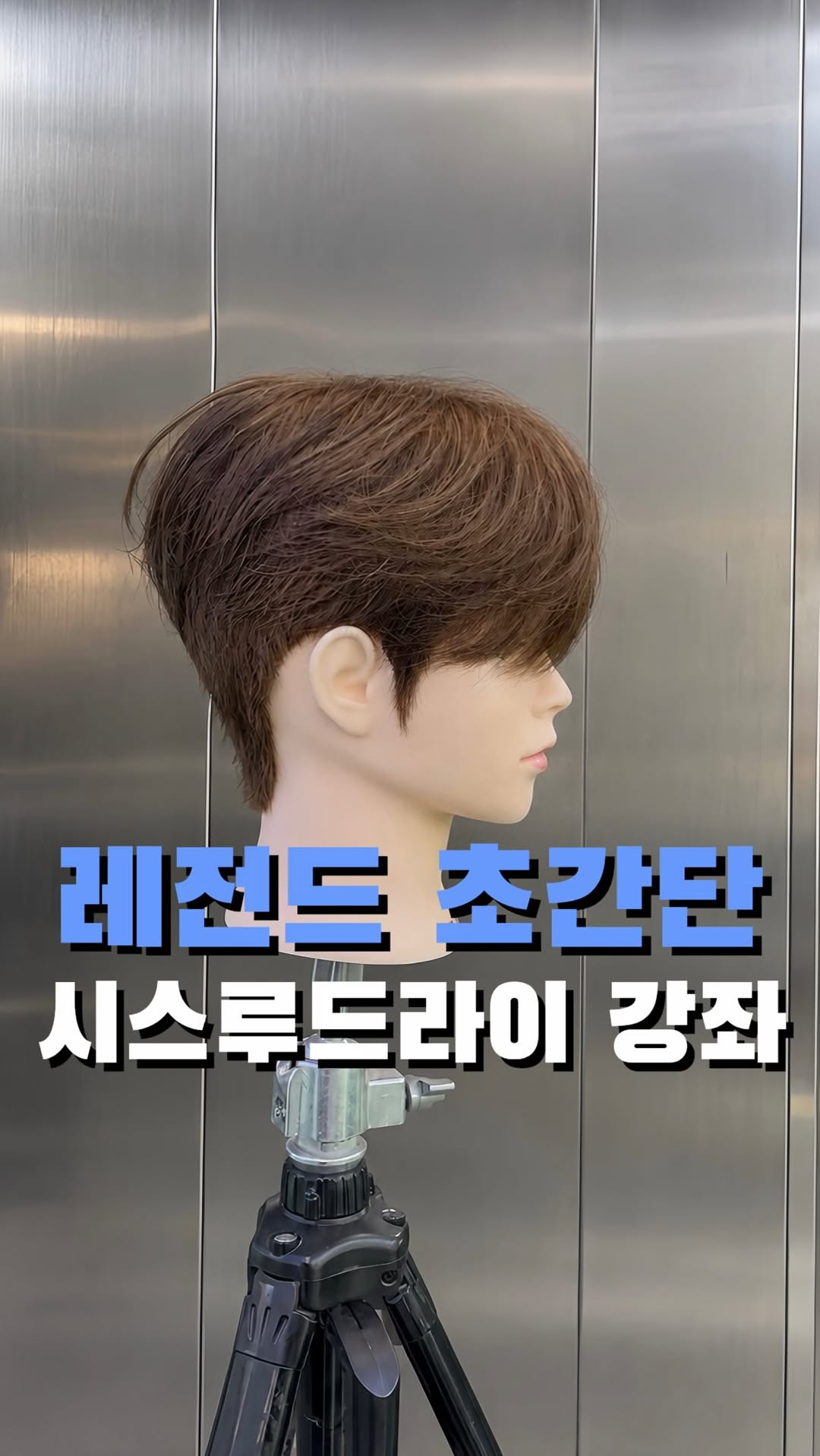 @mensplan.es이 올린 다슈 태그 게시물