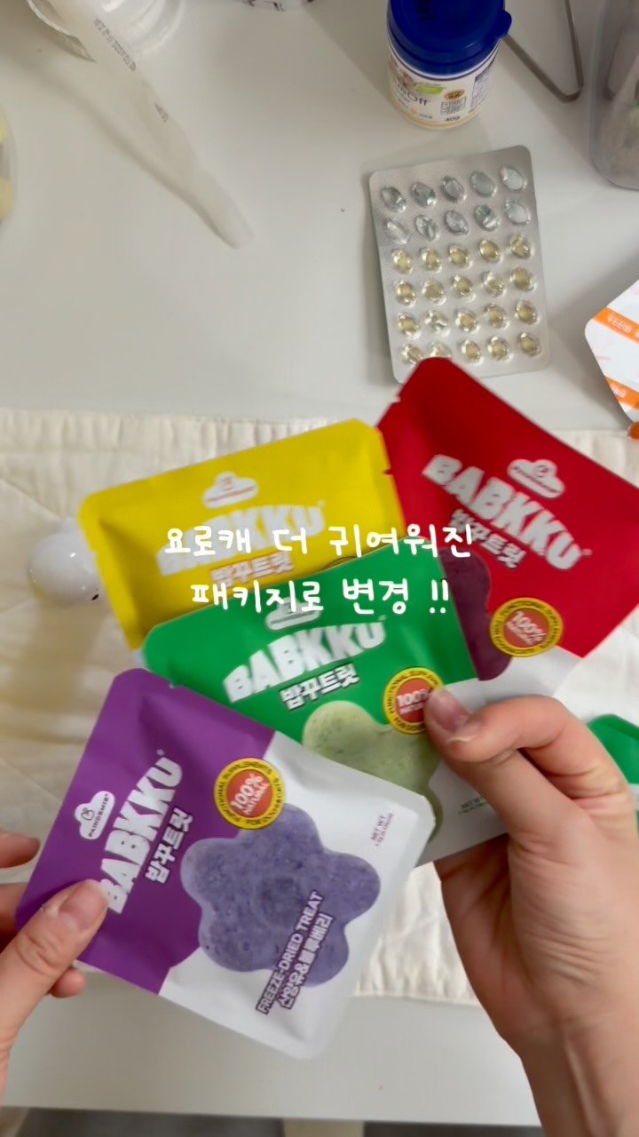 @o___back이 올린 팡드미 태그 게시물