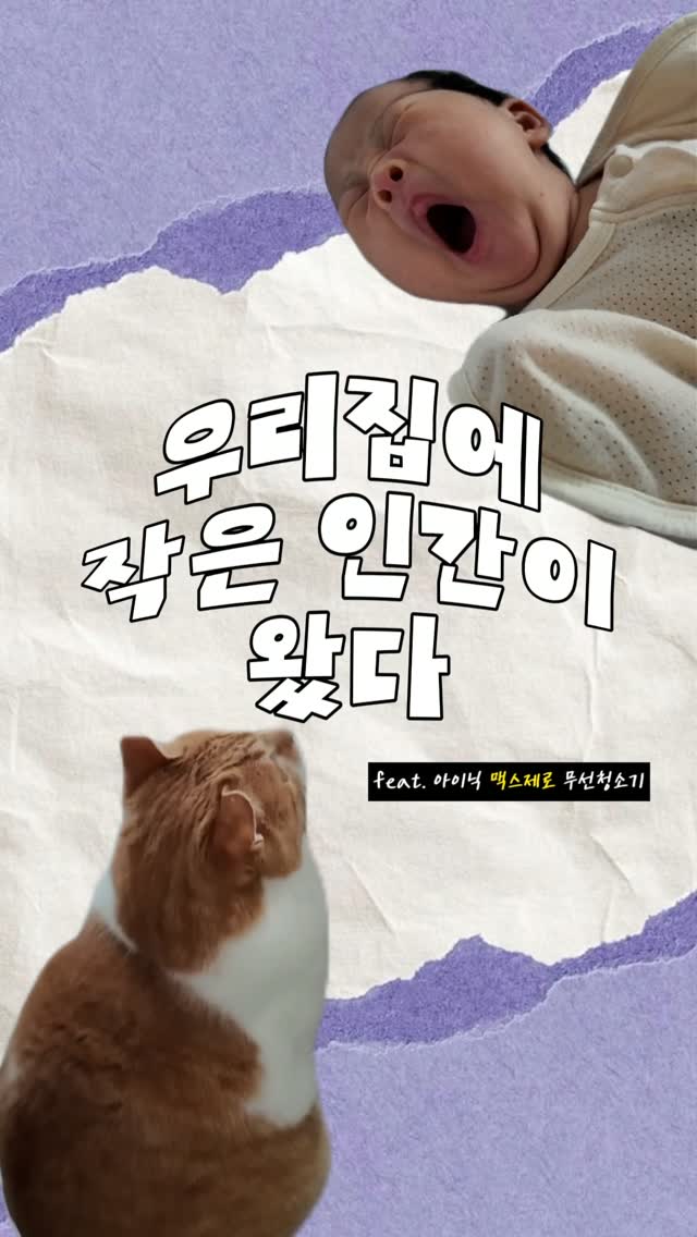 @dalzi_이 올린 감성가전 아이닉 태그 게시물