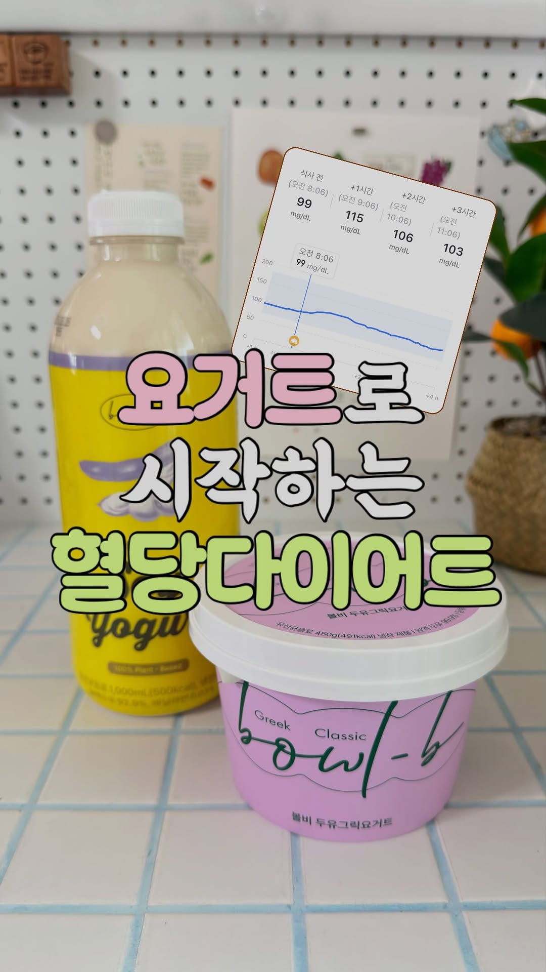 @homely_olleh이 올린 볼비 태그 게시물