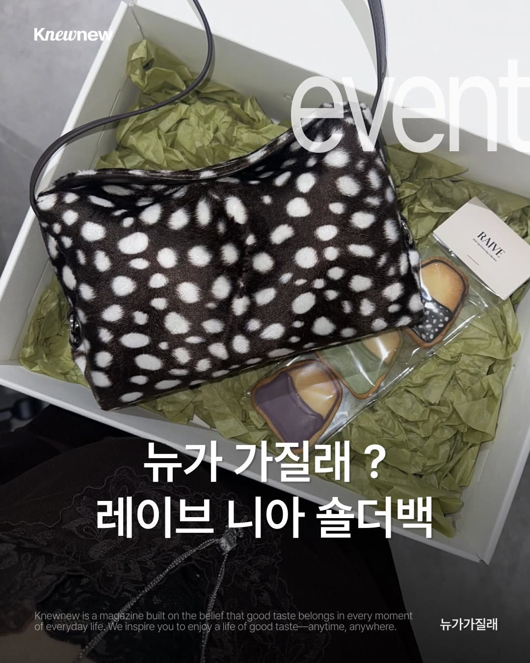 @knewnew.style이 올린 뉴뉴트렌드 태그 게시물