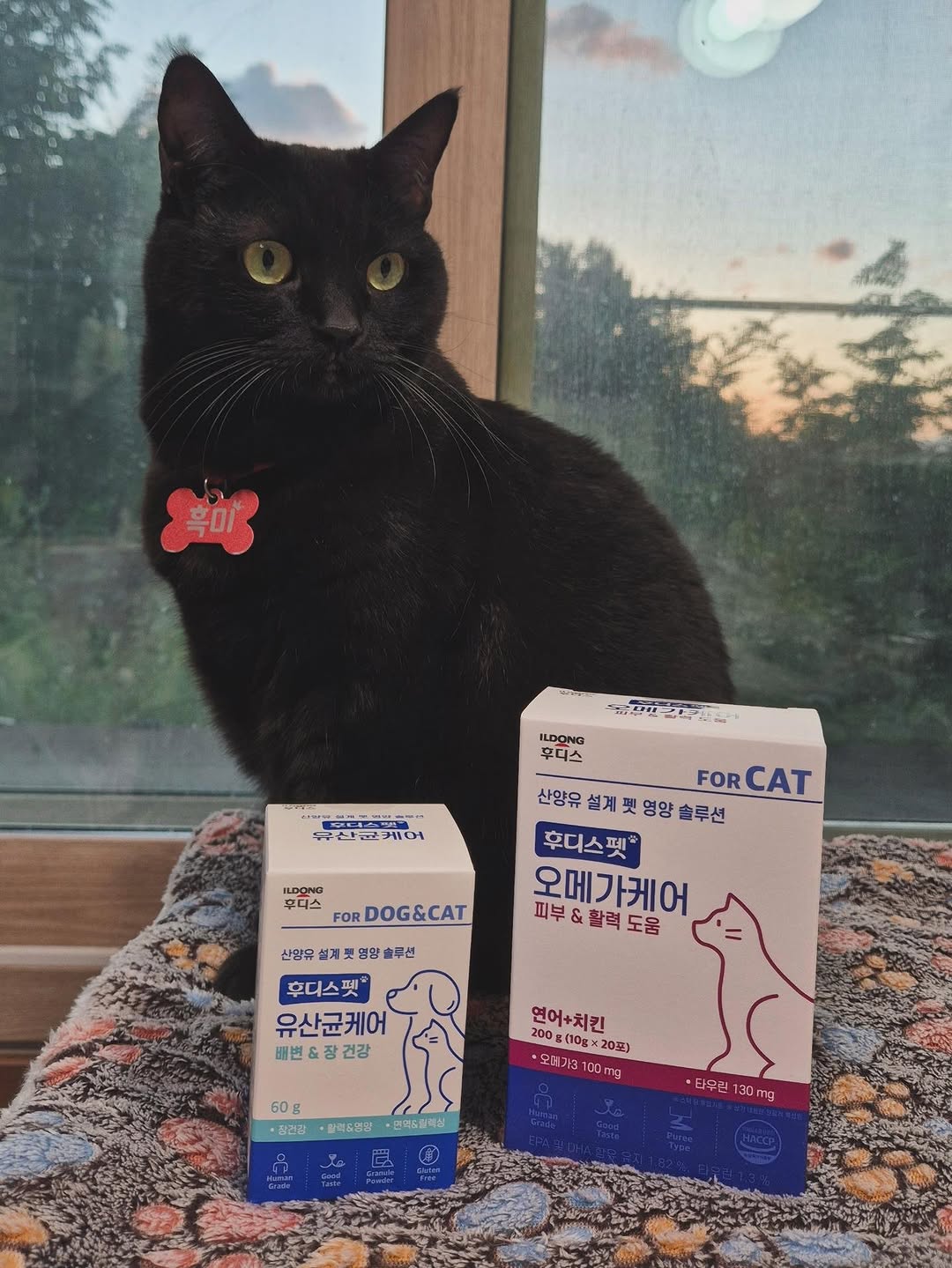 @black_cat_hk.zip이 올린 후디스펫 태그 게시물