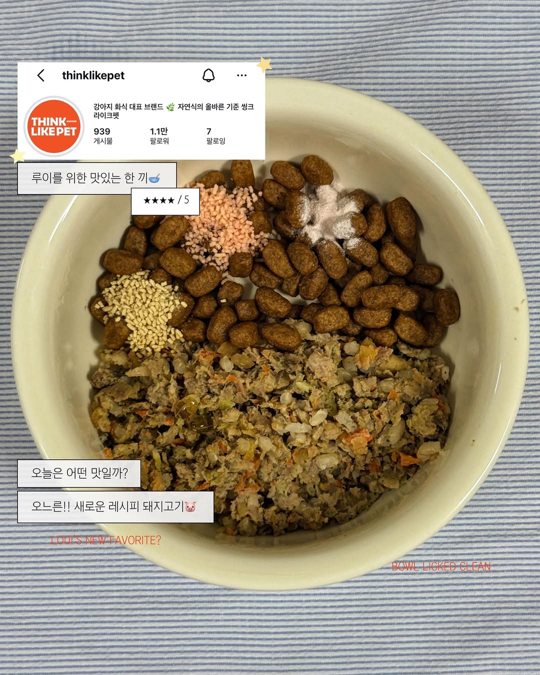 @lui_.verse이 올린 씽크라이크펫 태그 게시물