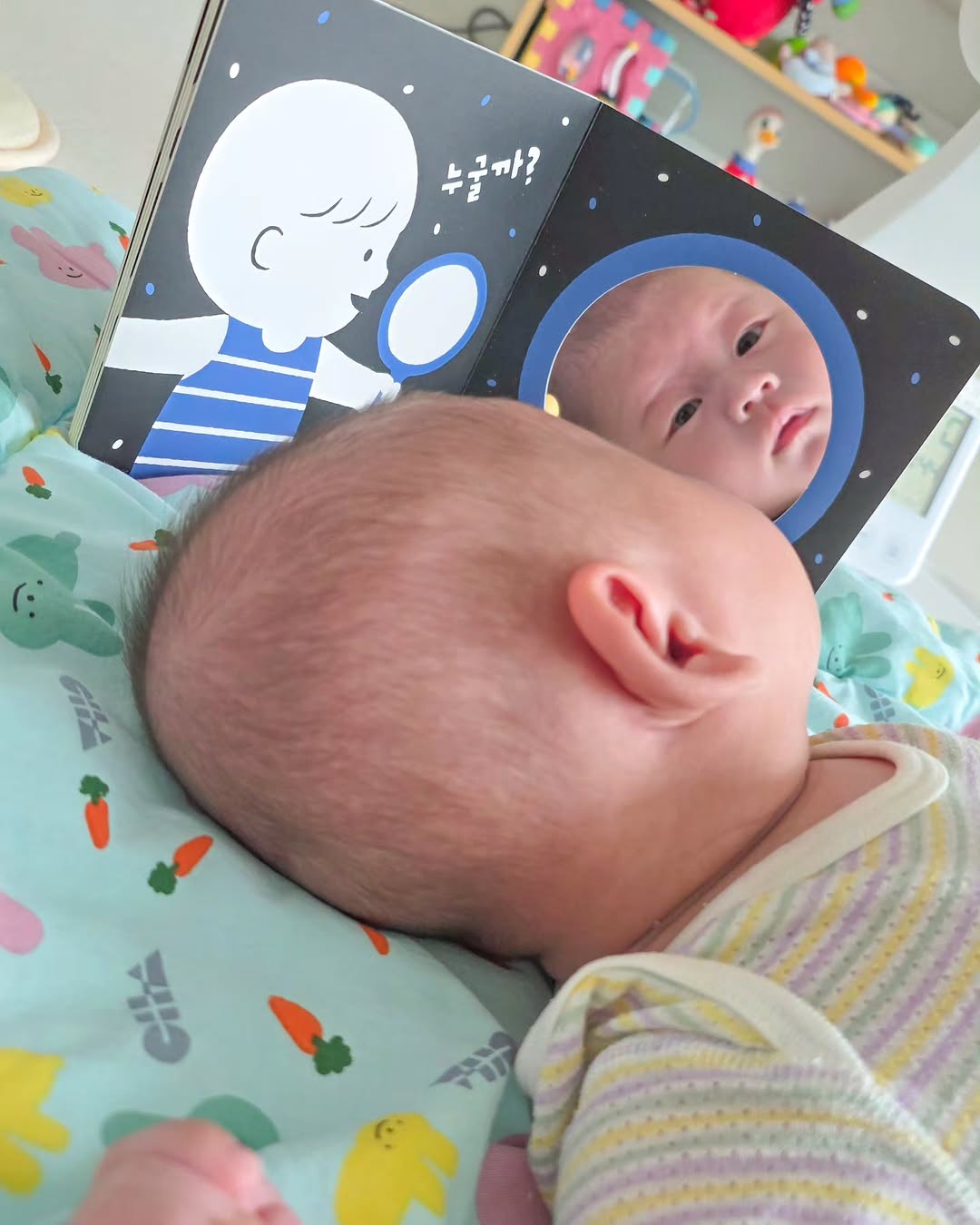 @ddanghome이 올린 Hattung® 하뚱 태그 게시물