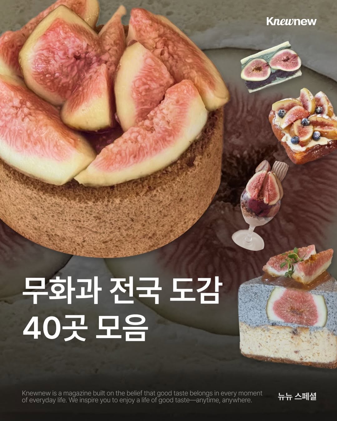 @knewnew.official이 올린 뉴뉴트렌드 태그 게시물
