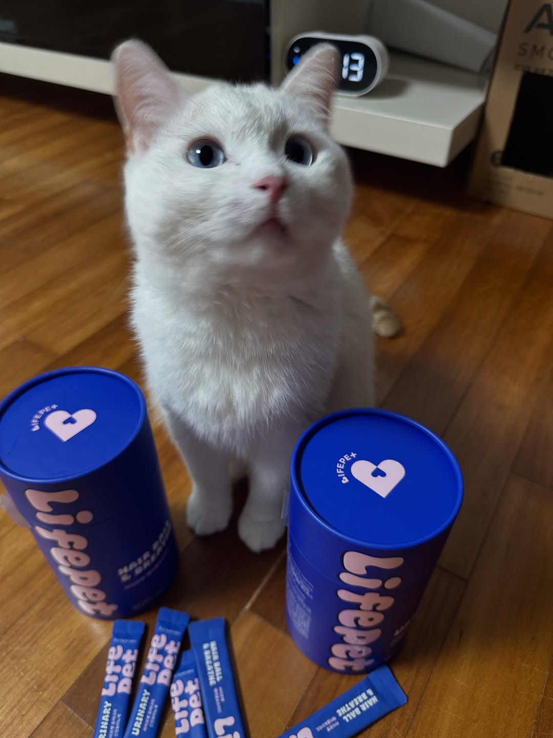 @leemeonji_이 올린 라이프펫 태그 게시물