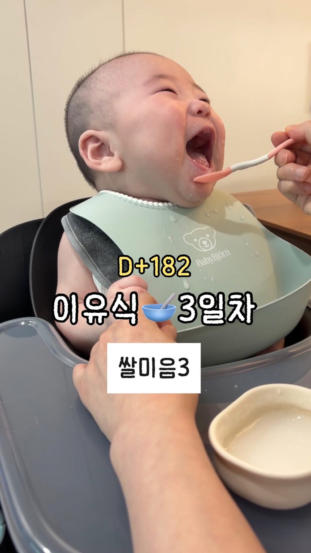 @jeongbin_bb이 올린 릿첼 태그 게시물
