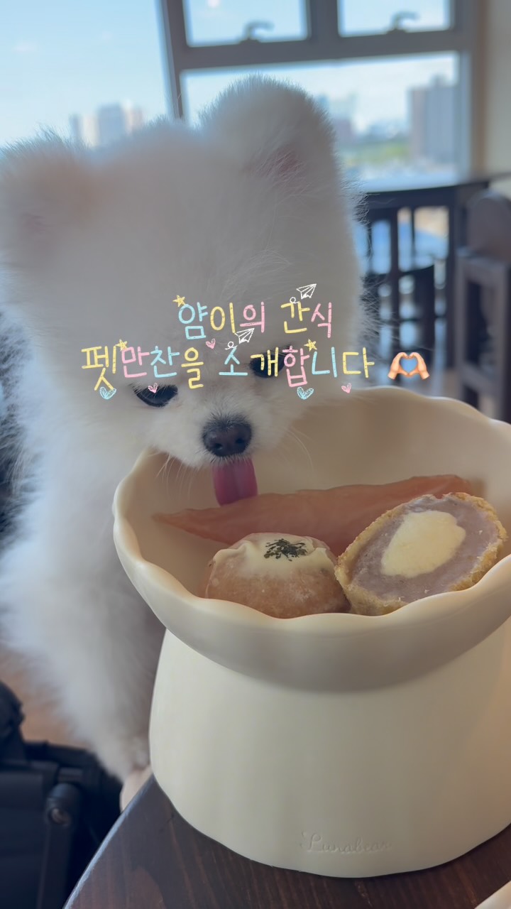 @kimyam2ee이 올린 펫만찬 태그 게시물