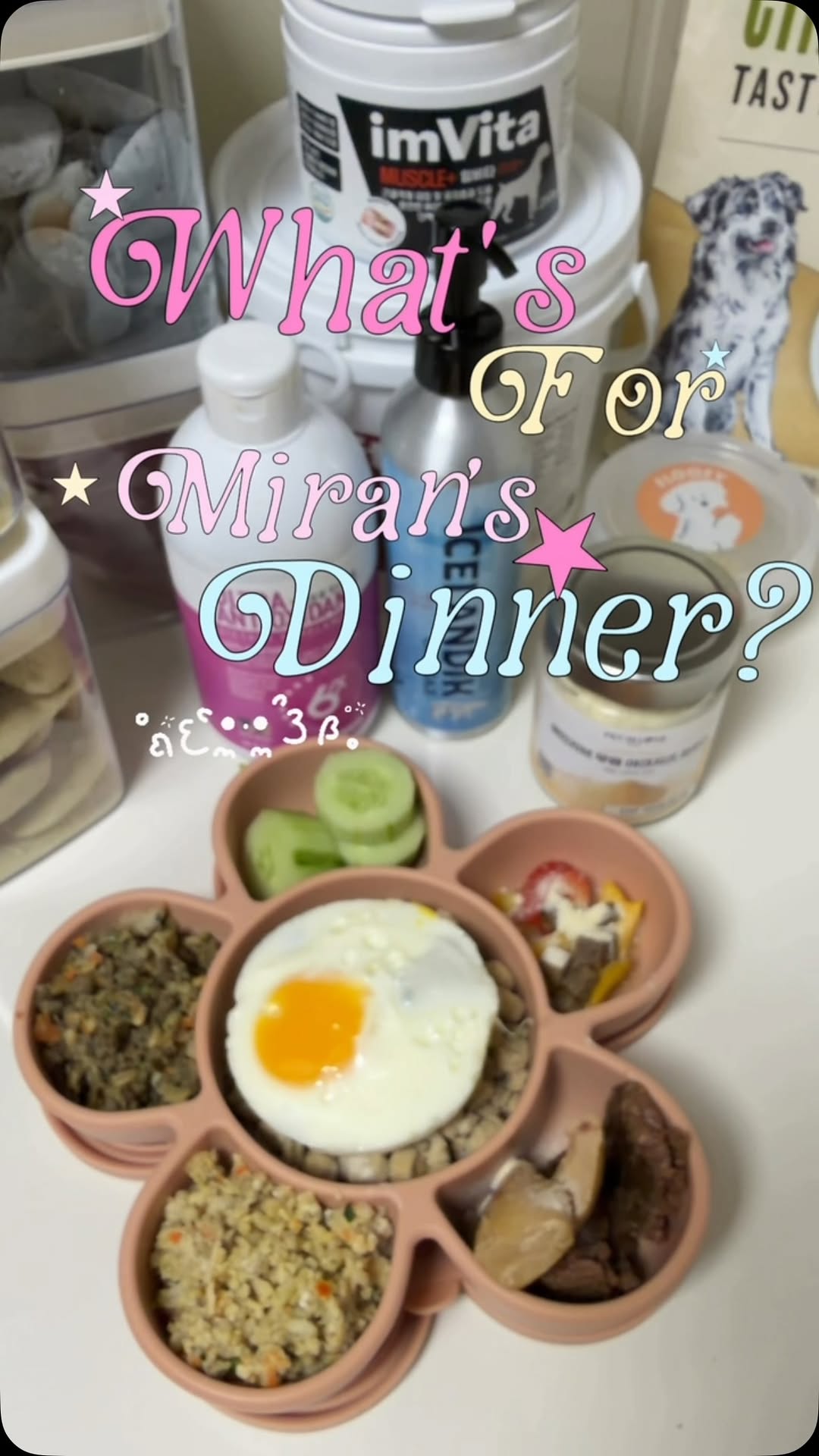 @blacklab_miran이 올린 씽크라이크펫 태그 게시물