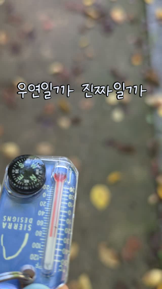 @soo_hodoo.haroo이 올린 닥터독 Dr.DOG 태그 게시물
