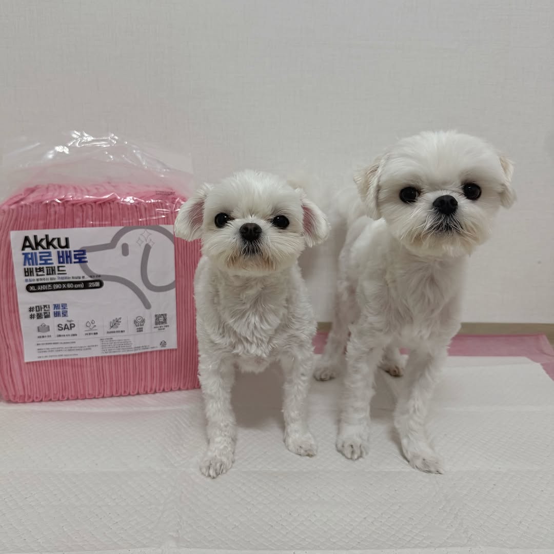 @milk.__.24이 올린 아꾸 태그 게시물