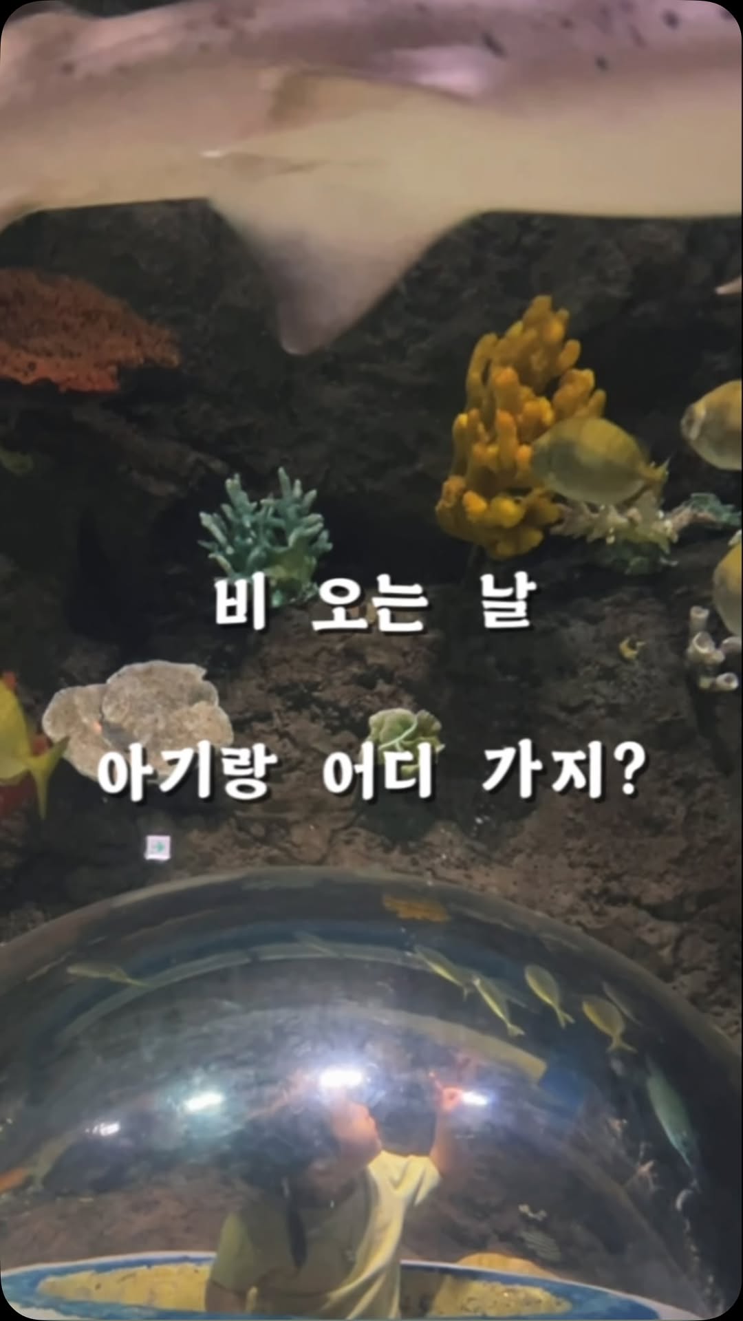 @iam.euns이 올린 대구맘카페 태그 게시물