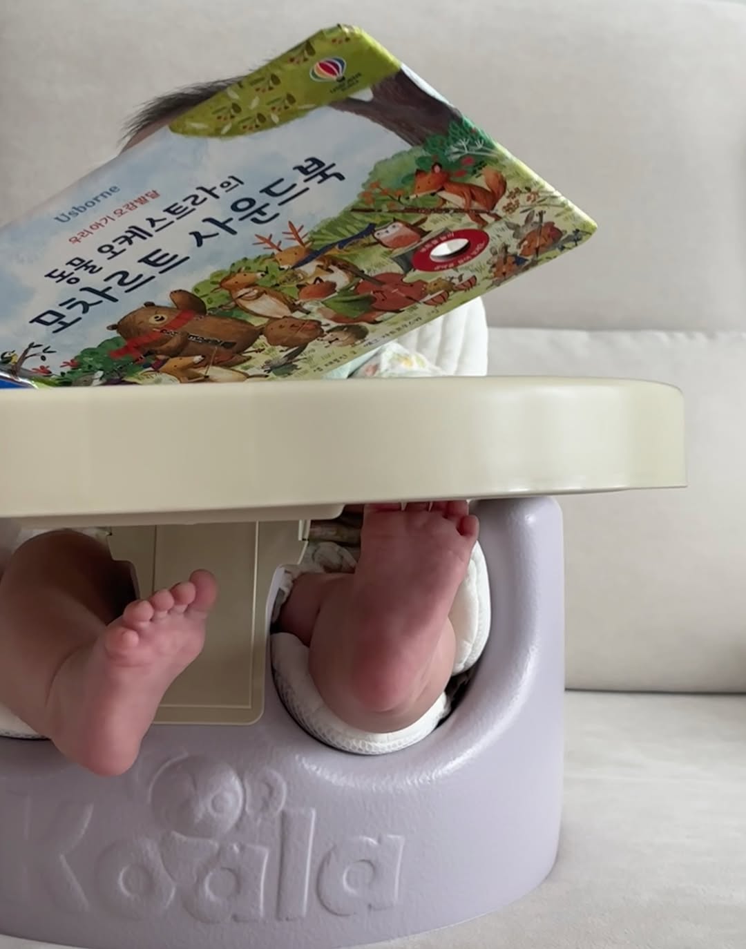 @hizip_home이 올린 에시앙 태그 게시물