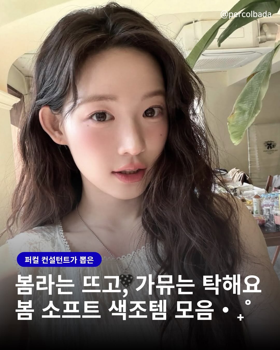 @percolbada이 올린 팁토우 태그 게시물