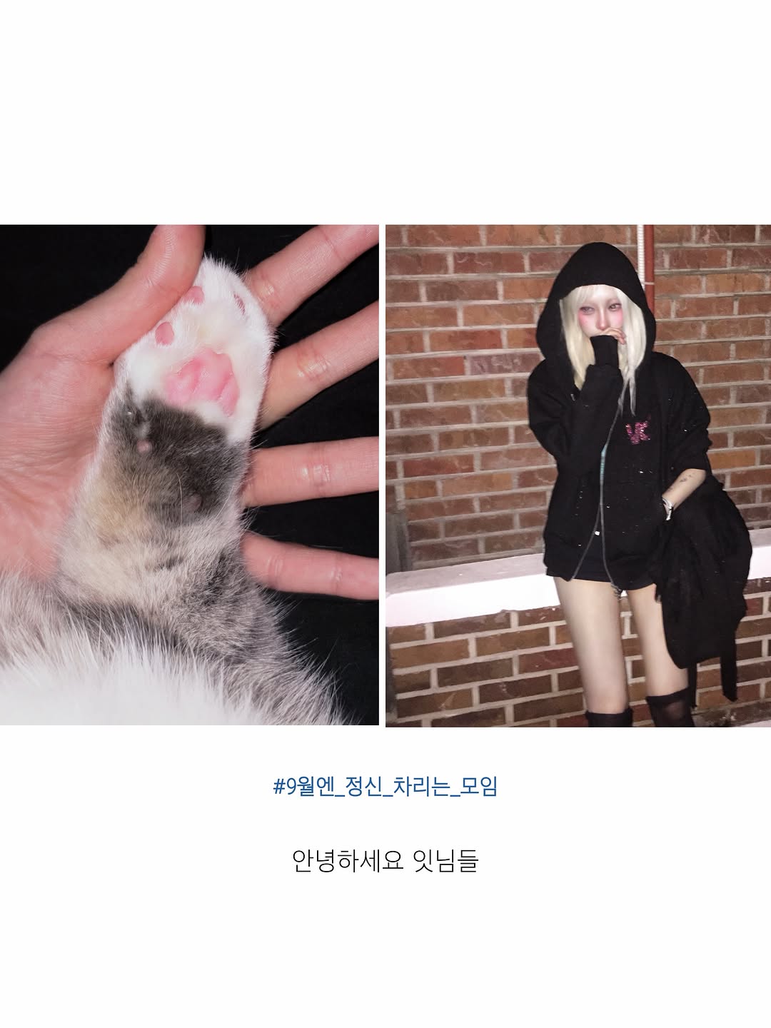 @kanya.kr이 올린 XTONZ 태그 게시물