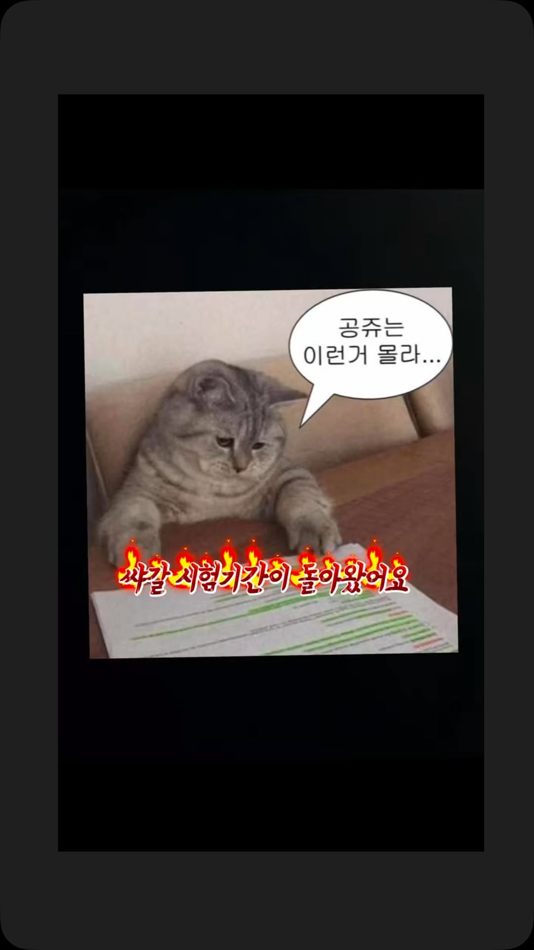 @study_km.09이 올린 트루엔 뉴트리션 태그 게시물