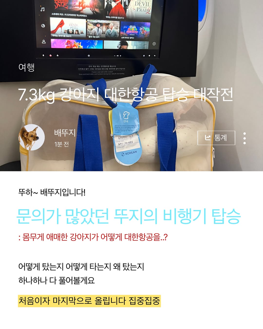 @kim.baesuzy이 올린 포포캄 태그 게시물
