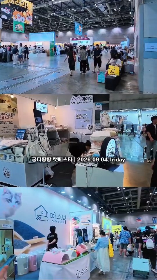 @woodada1004이 올린 팡드미 태그 게시물