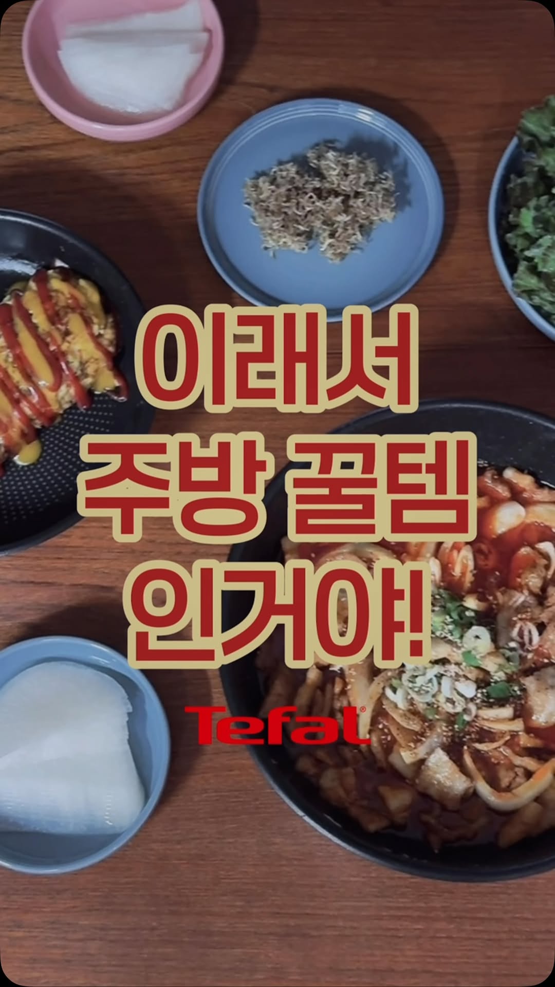 @mnhn___이 올린 테팔 태그 게시물