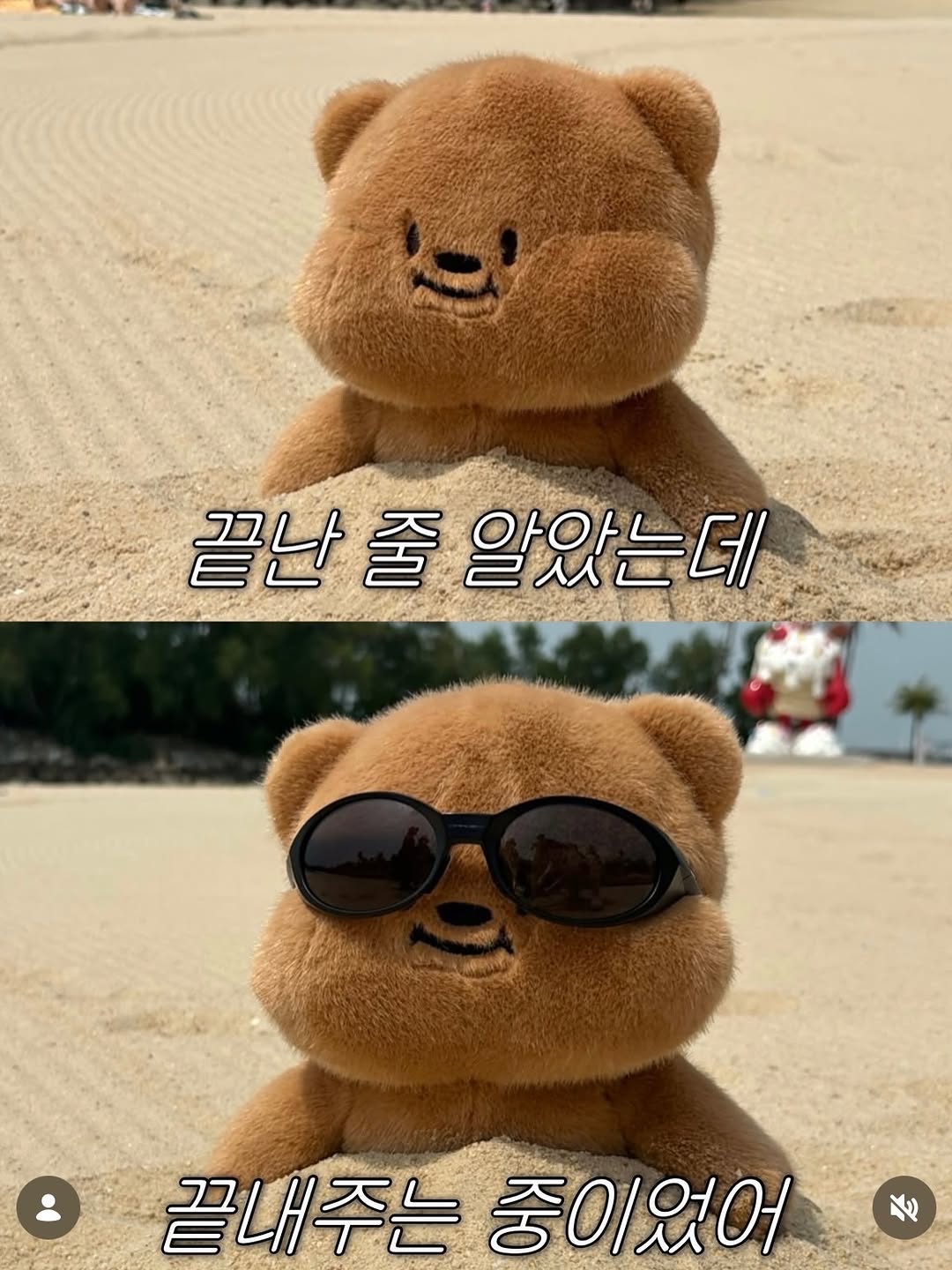 @gwangju.now이 올린 빵고미 태그 게시물