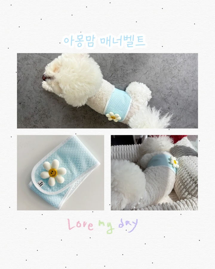 @ss_hindungi이 올린 아몽 맘 태그 게시물