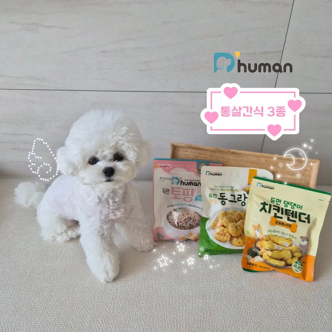 @bboddo.vo_ov이 올린 D'human 듀먼 태그 게시물
