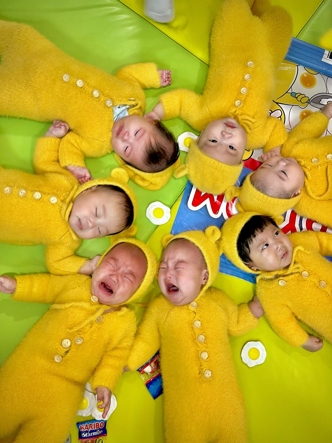 @ho.ney_______이 올린 베니비디비치 태그 게시물