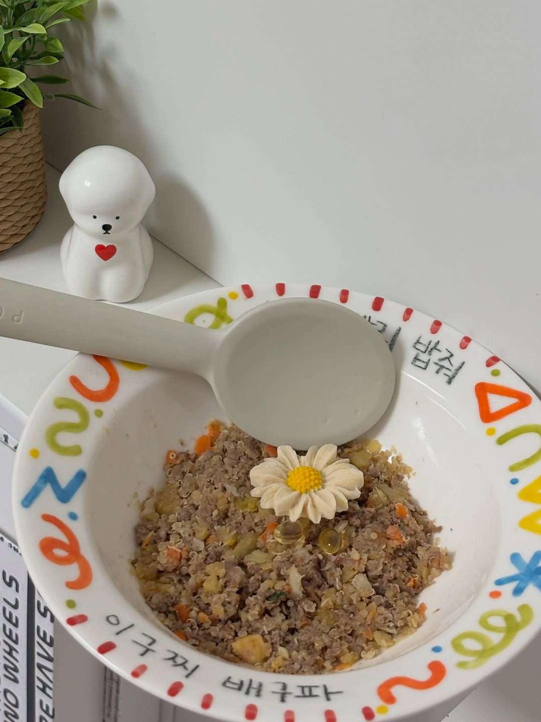@gucci_0327이 올린 씽크라이크펫 태그 게시물
