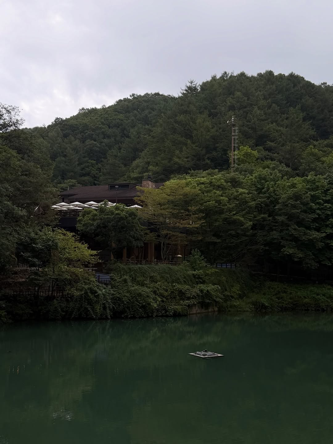 @kingwangkkk이 올린 에아모레 태그 게시물