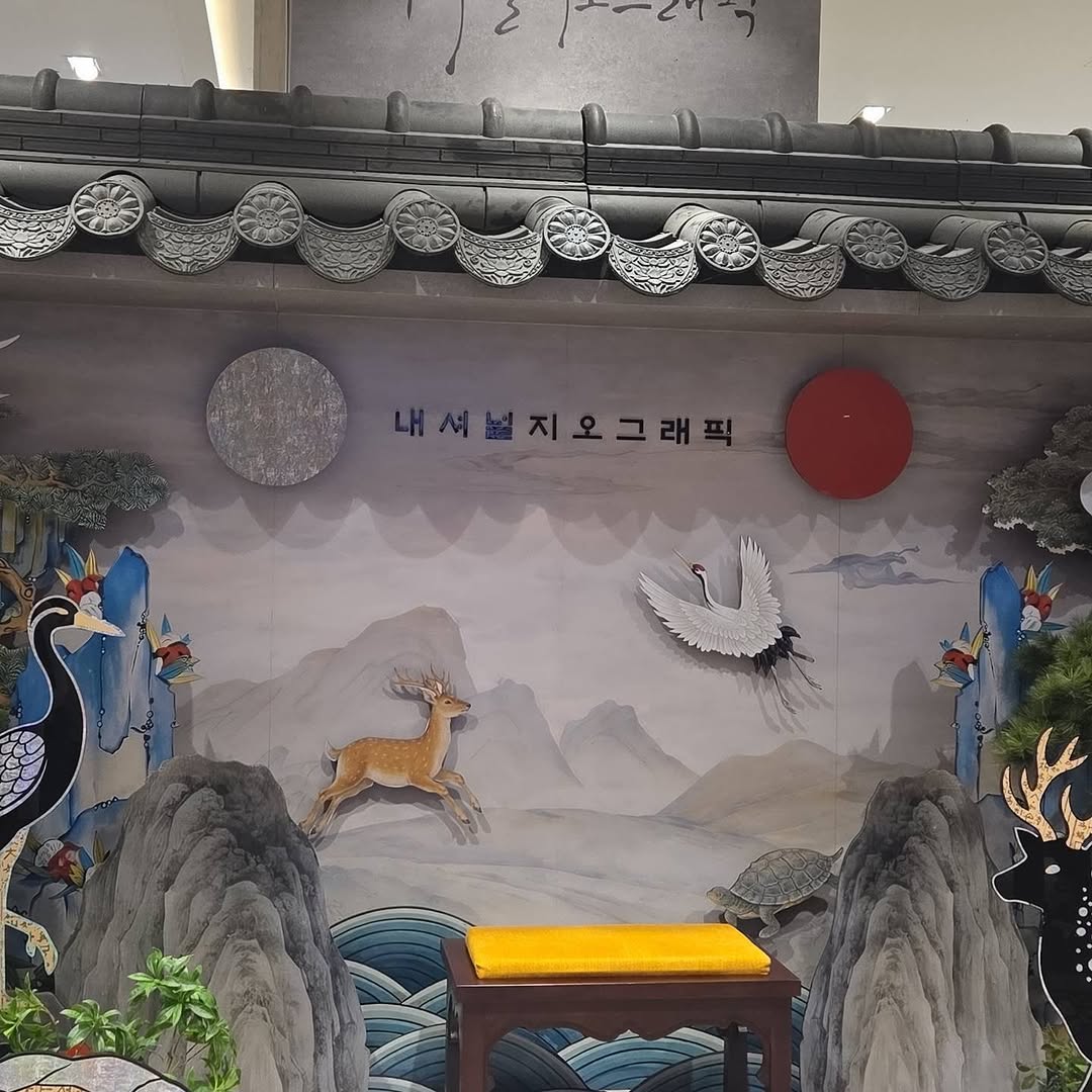@yeonghyi934이 올린 내셔널지오그래픽 어패럴 태그 게시물