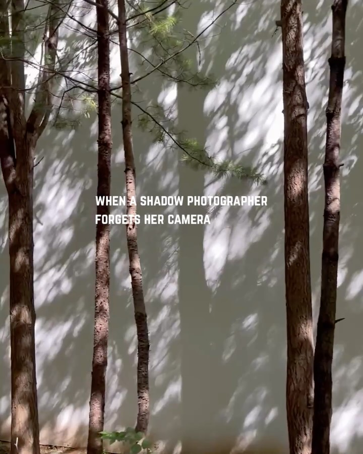 @justbeingemilyh이 올린 오찌 OTZ 태그 게시물